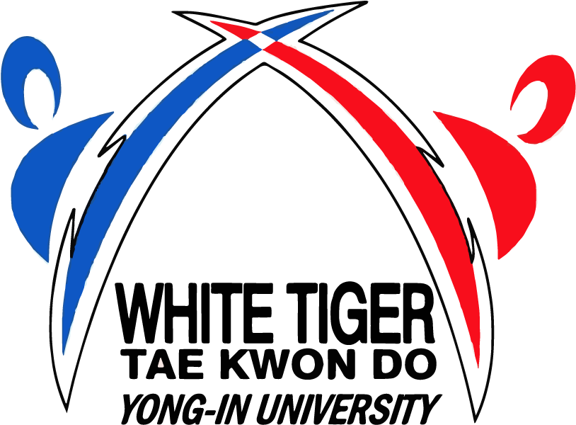 Graphic Design (1080x1920), Png Download