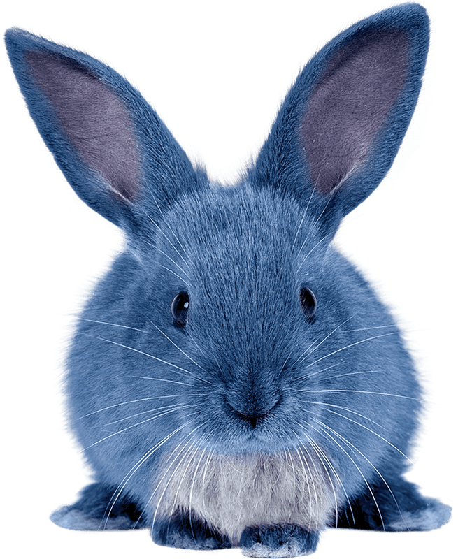 Iscream Team • Blue Bunny - Blue Bunny Ice Cream Blu (655x800), Png Download