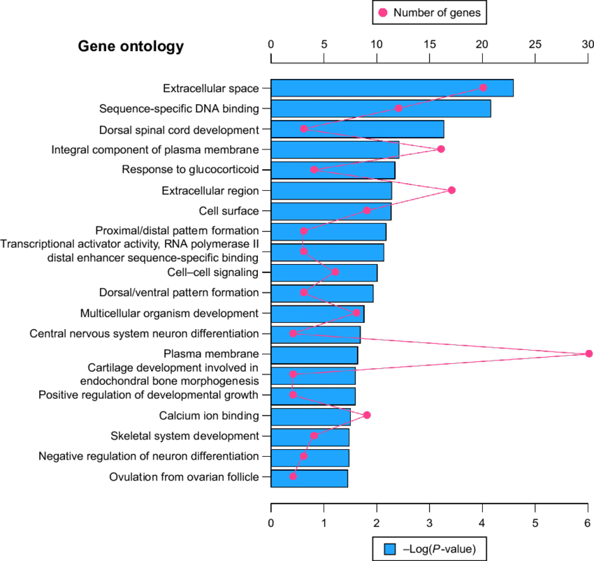 The Red Dot In The Figure Means Number Of Genes - Gene Ontology Term Enrichment (850x803), Png Download
