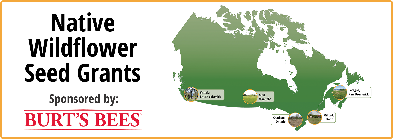Look For Specially Marked Bonterra And Burt's Bees - Map Of Canada (1600x600), Png Download