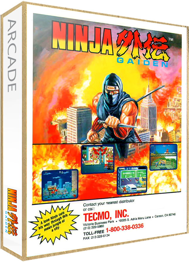 Ninja Gaiden - Ninja Gaiden Arcade (665x907), Png Download
