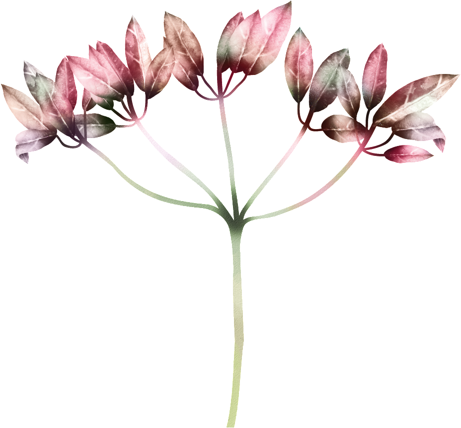 Hand Drawn Gradient Color Leaves Png Transparent - Leaf (1024x1025), Png Download