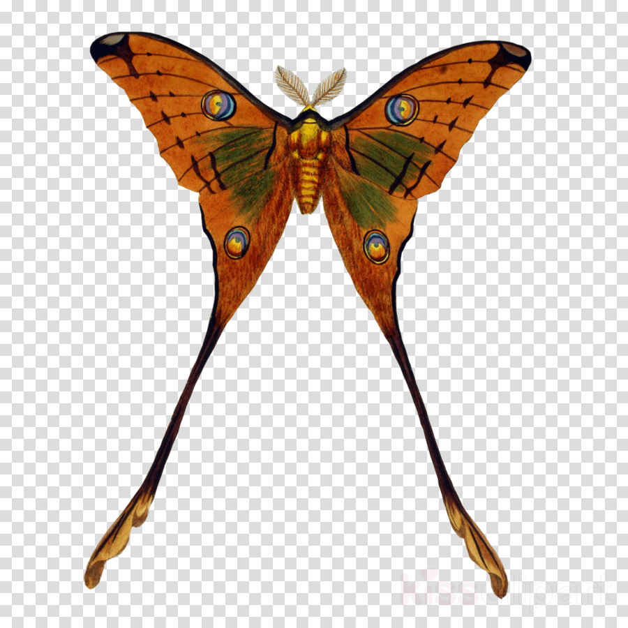 Black And White Drop Of Water Clipart Royalty-free (900x900), Png Download