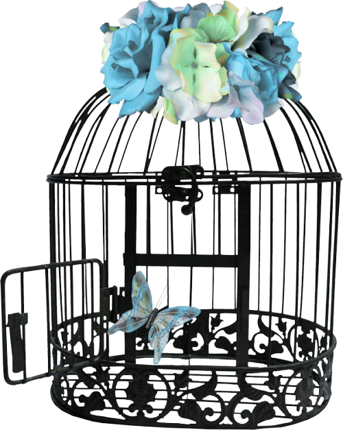 Cages,png - Cage (500x627), Png Download