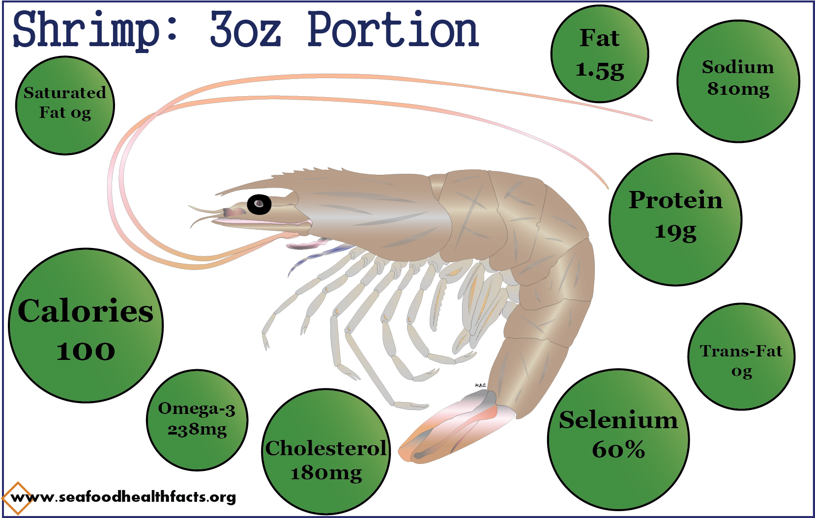 Shrimp (png) - Cartoon (1800x1200), Png Download