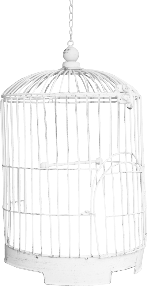 Bird Cage Png - Birdcage (480x934), Png Download
