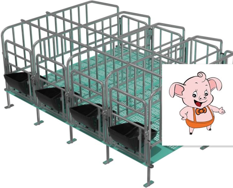 Domestic Pig (750x750), Png Download