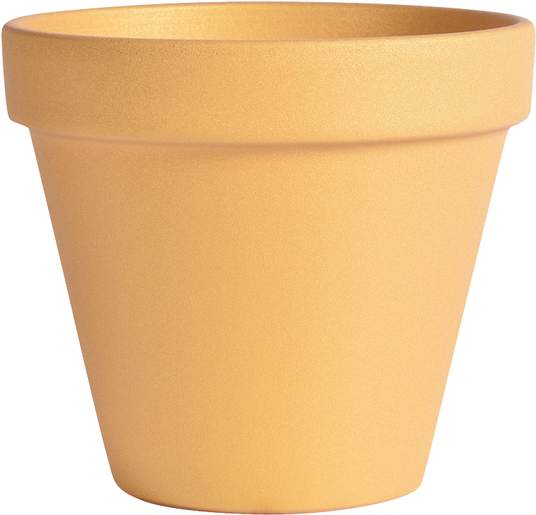 Pearly Standard Pot Gold - Flowerpot (800x800), Png Download