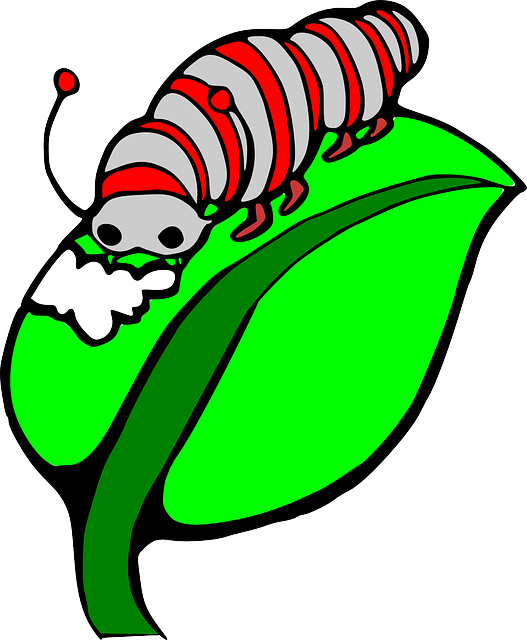 Caterpillar Clipart Leave - Caterpillar Eating Leaf Clip Art (527x640), Png Download