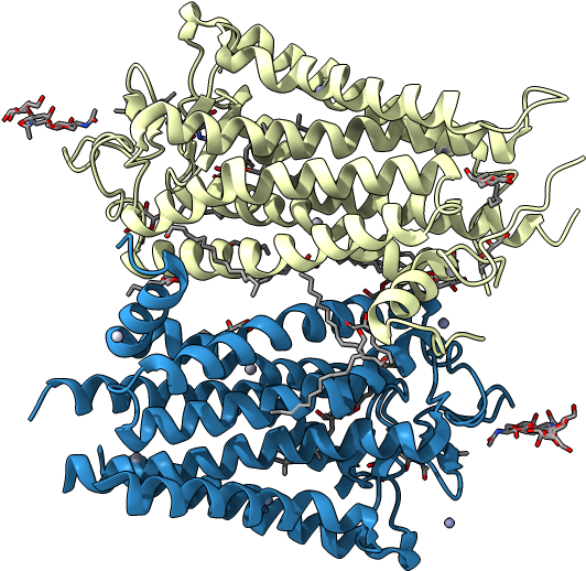 Asymmetric Unit - Illustration (1000x1000), Png Download