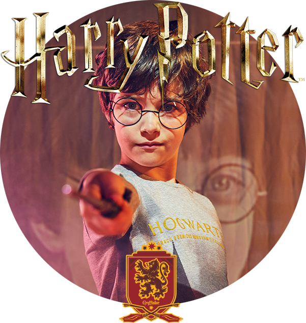 Harry Potter And Ikks Collection - Wappen Harry Potter | Gryffindor Quidditch Mousepads (601x635), Png Download