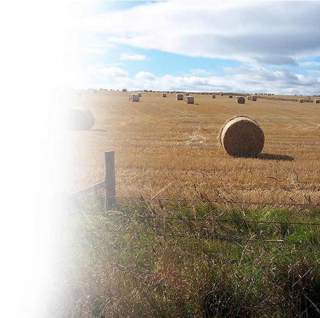 Farming-customers 01 - Agriculture (663x650), Png Download