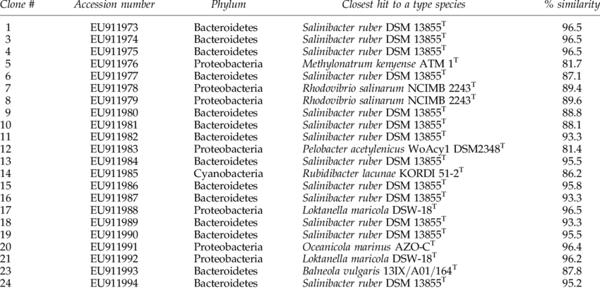 Clone Library For King Lake - Lake (850x411), Png Download