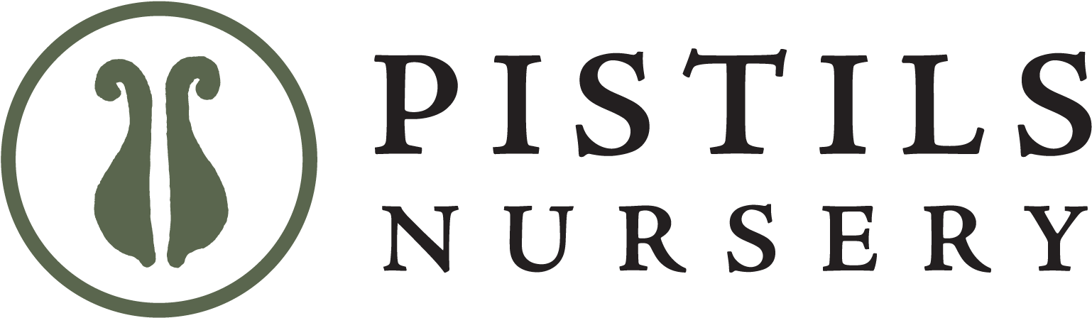 Seattle University (1575x469), Png Download