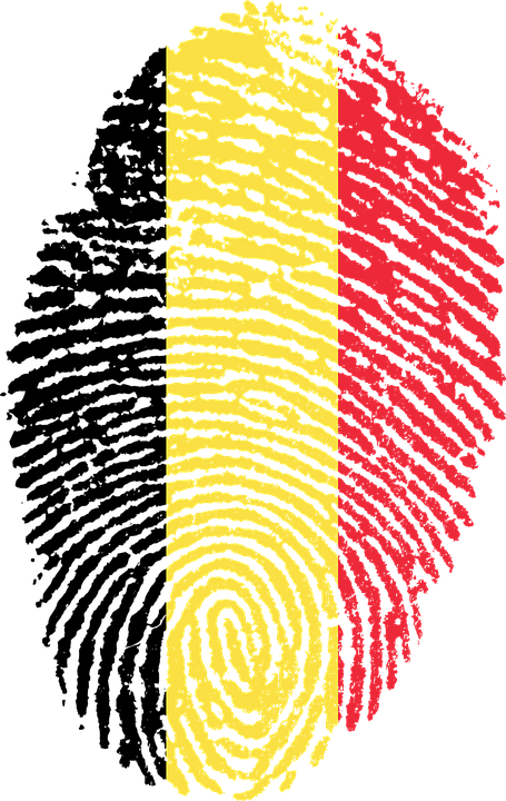 Digital Bandeira Do Brasil (455x720), Png Download