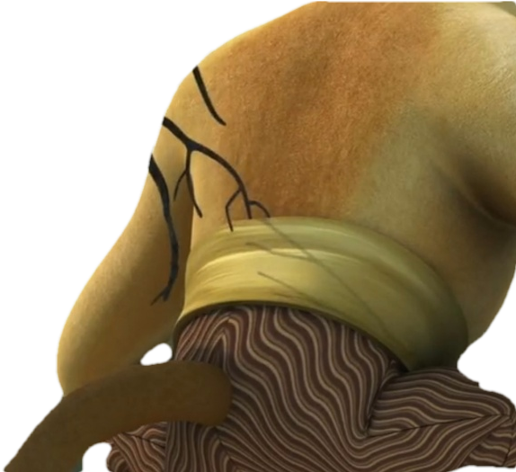 Monkeyfullbodysitting - Visual Arts (673x624), Png Download