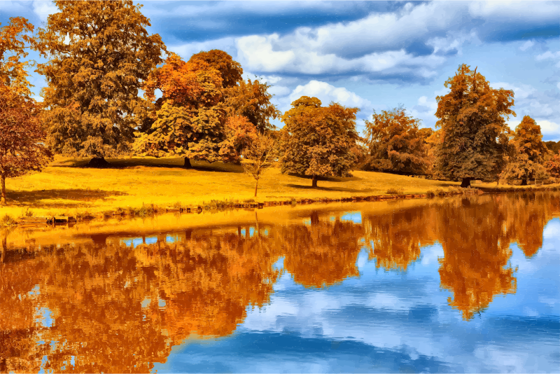 Medium Image - Autumn Journal: Blank 200 Page Journal [book] (800x534), Png Download