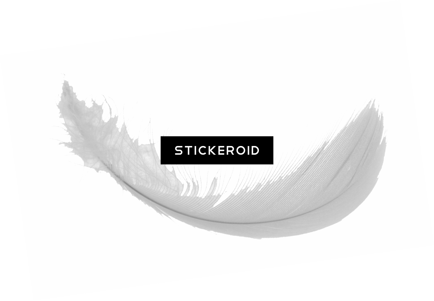 Feather S - Monochrome (1386x963), Png Download