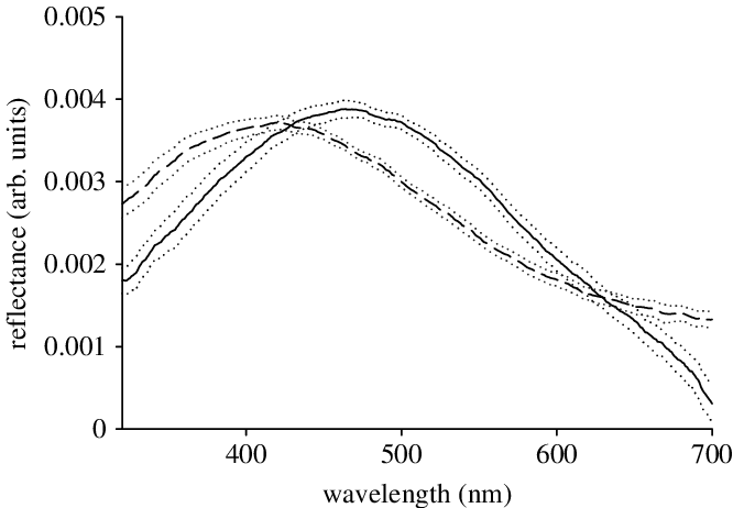 Reflectance Spectra Of Feathers From The Nuptial Plumage - Common Fig (666x462), Png Download