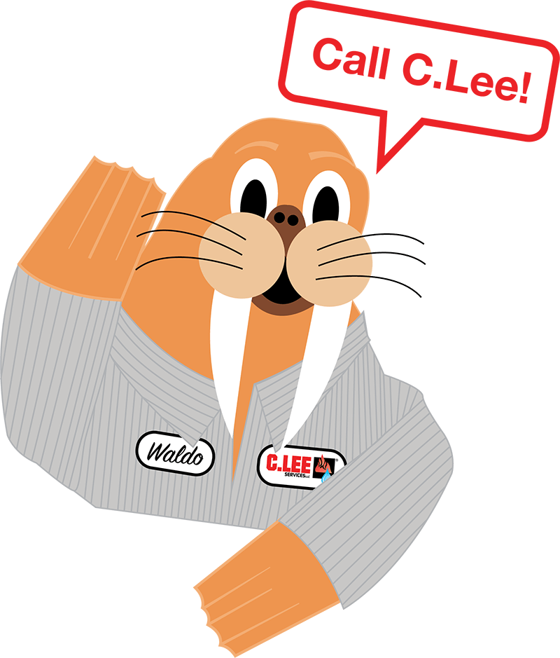 Contact - Cartoon (800x939), Png Download