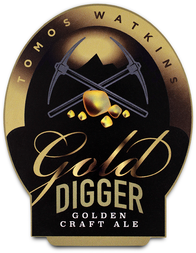 Gold Digger - His Story God's Glory By Mattew Ashimolowo (1000x1000), Png Download