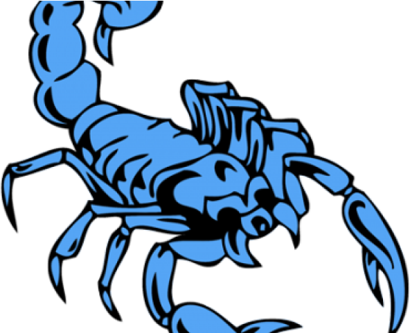 Scorpion Tattoo png images  PNGEgg