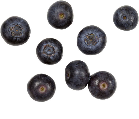 Organic Blueberries - Bilberry (600x600), Png Download