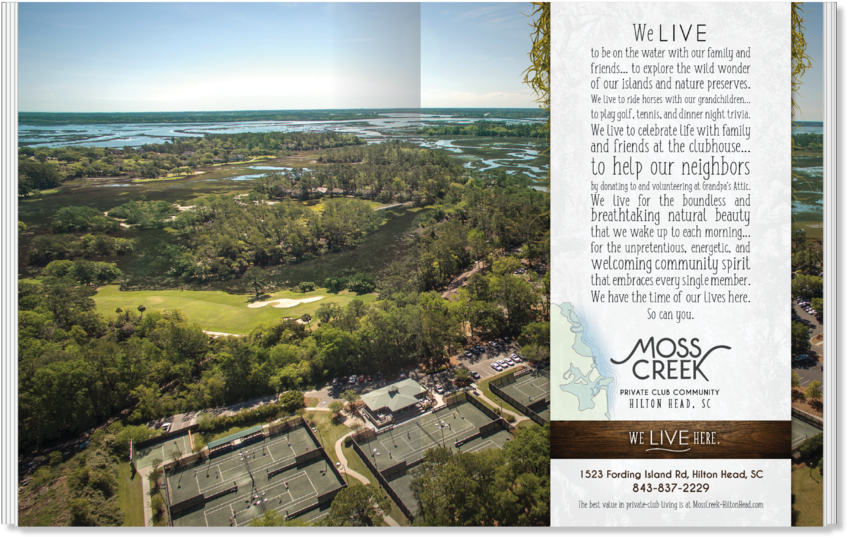 Moss (1000x561), Png Download