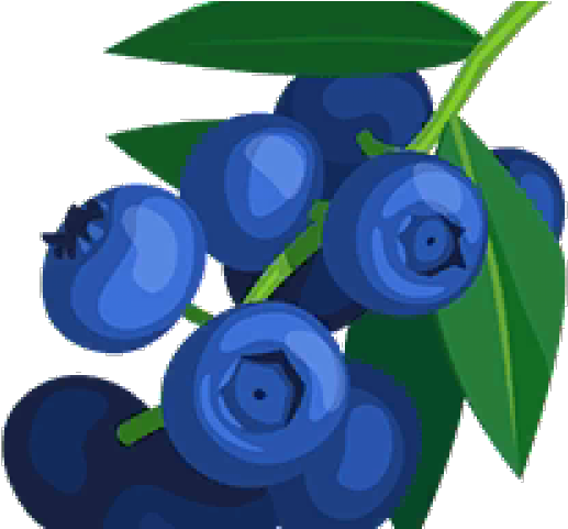 Blueberry Cliparts - Blueberry (640x480), Png Download