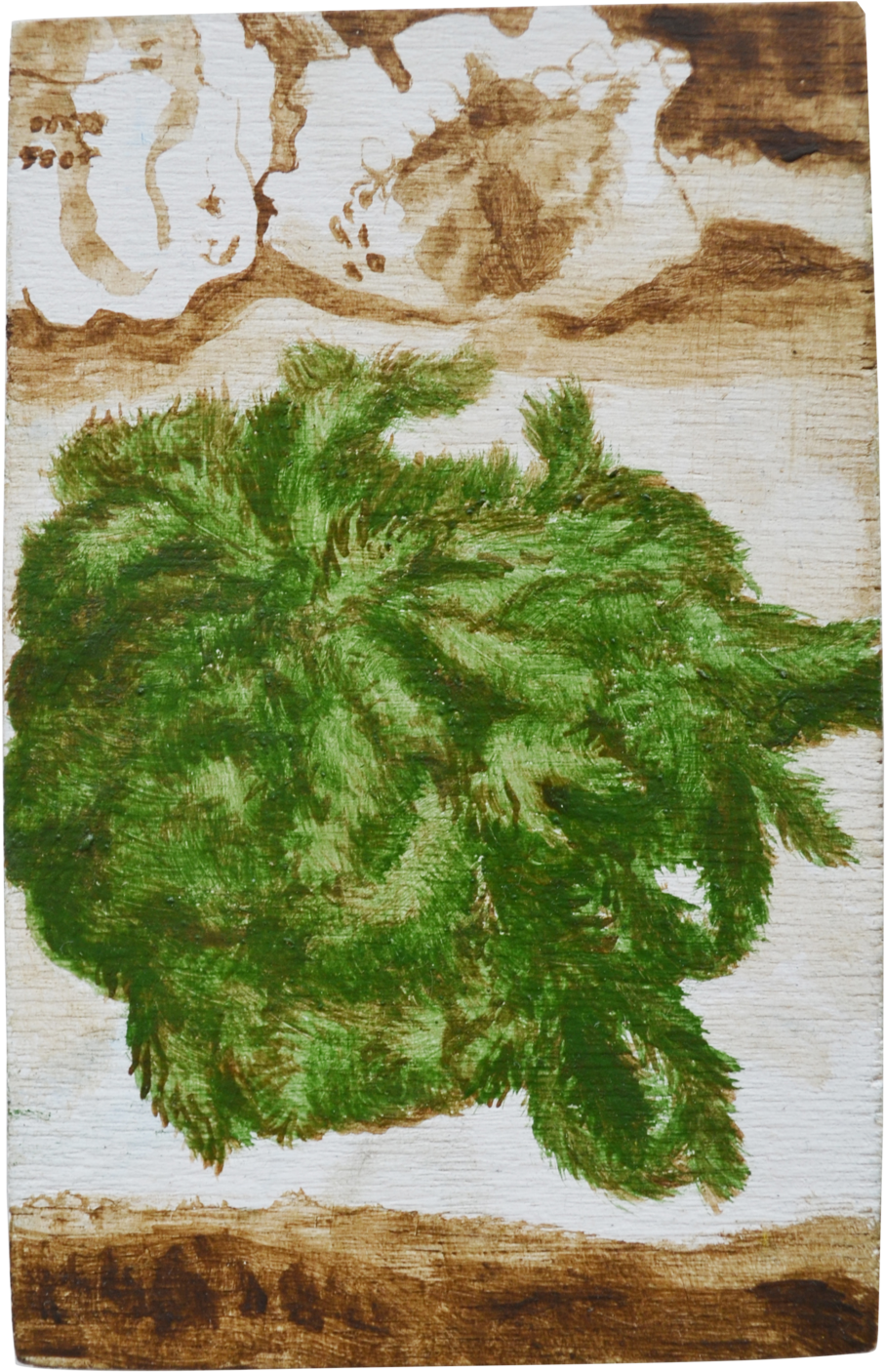 Moss (1000x1470), Png Download