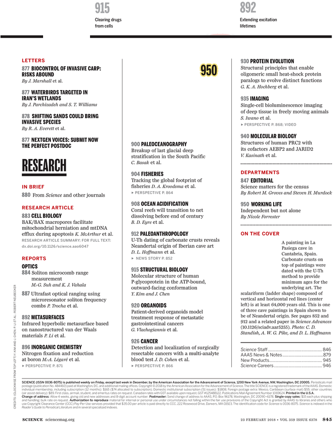 Document (729x928), Png Download