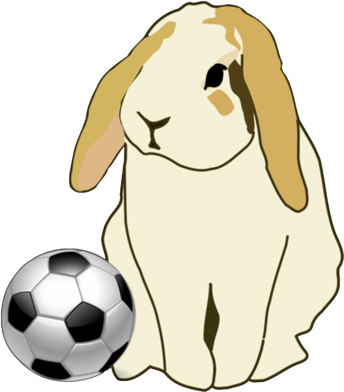 Bunny - Lop Rabbit Throw Blanket (1000x912), Png Download