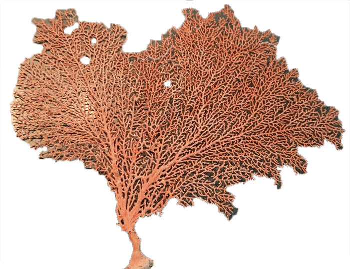 Sold Times - Sea (700x700), Png Download