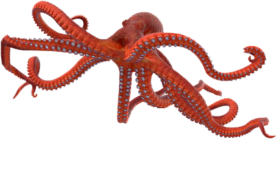 Octopus Png Photo Background - Octopus (600x600), Png Download