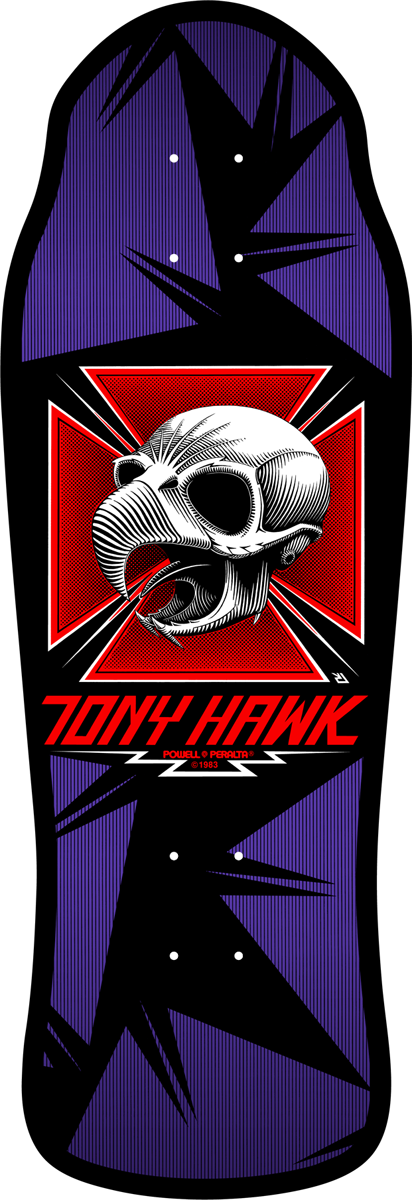 Hawk- Classic Hawk Skull Graphic With Background Layers - Tony Hawk Bird Skeleton (412x1200), Png Download