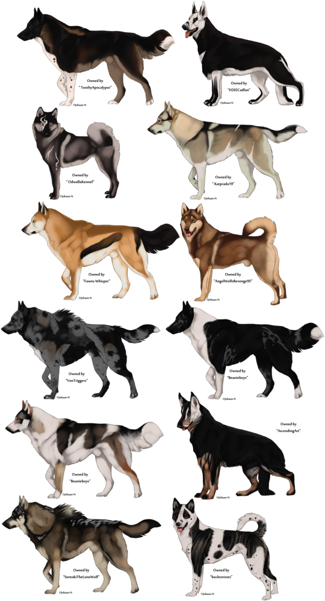 Love It Pinterest Wolf And Drawings - Anime Wolf Character Design (654x1220), Png Download