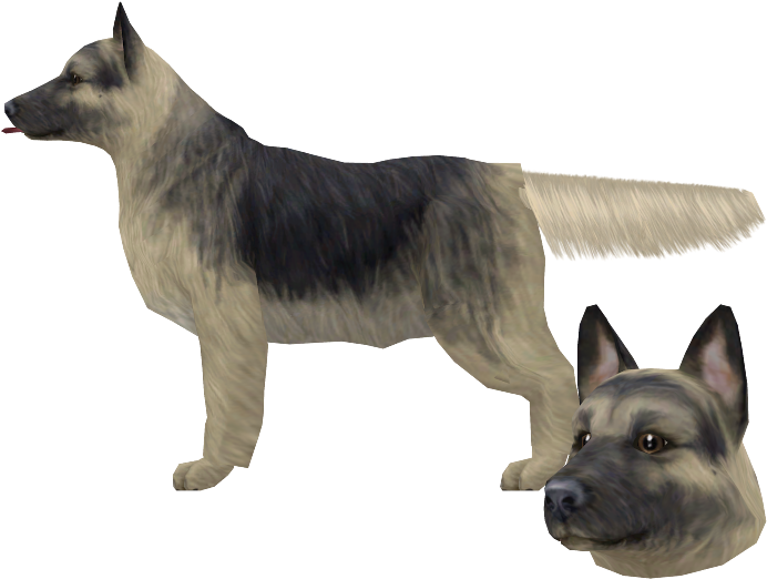 Download Zip Archive - Old German Shepherd Dog (750x650), Png Download
