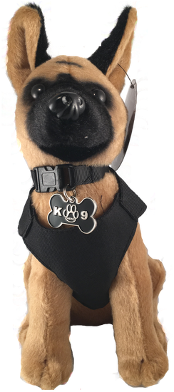 Old German Shepherd Dog (498x664), Png Download