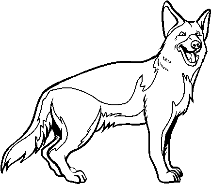 Head At Getdrawings Com Free For Personal - Dessin De Chien Berger Allemand (600x470), Png Download