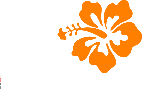 Orange Hibiscus Clip Art - Hibiscus Clip Art (600x381), Png Download