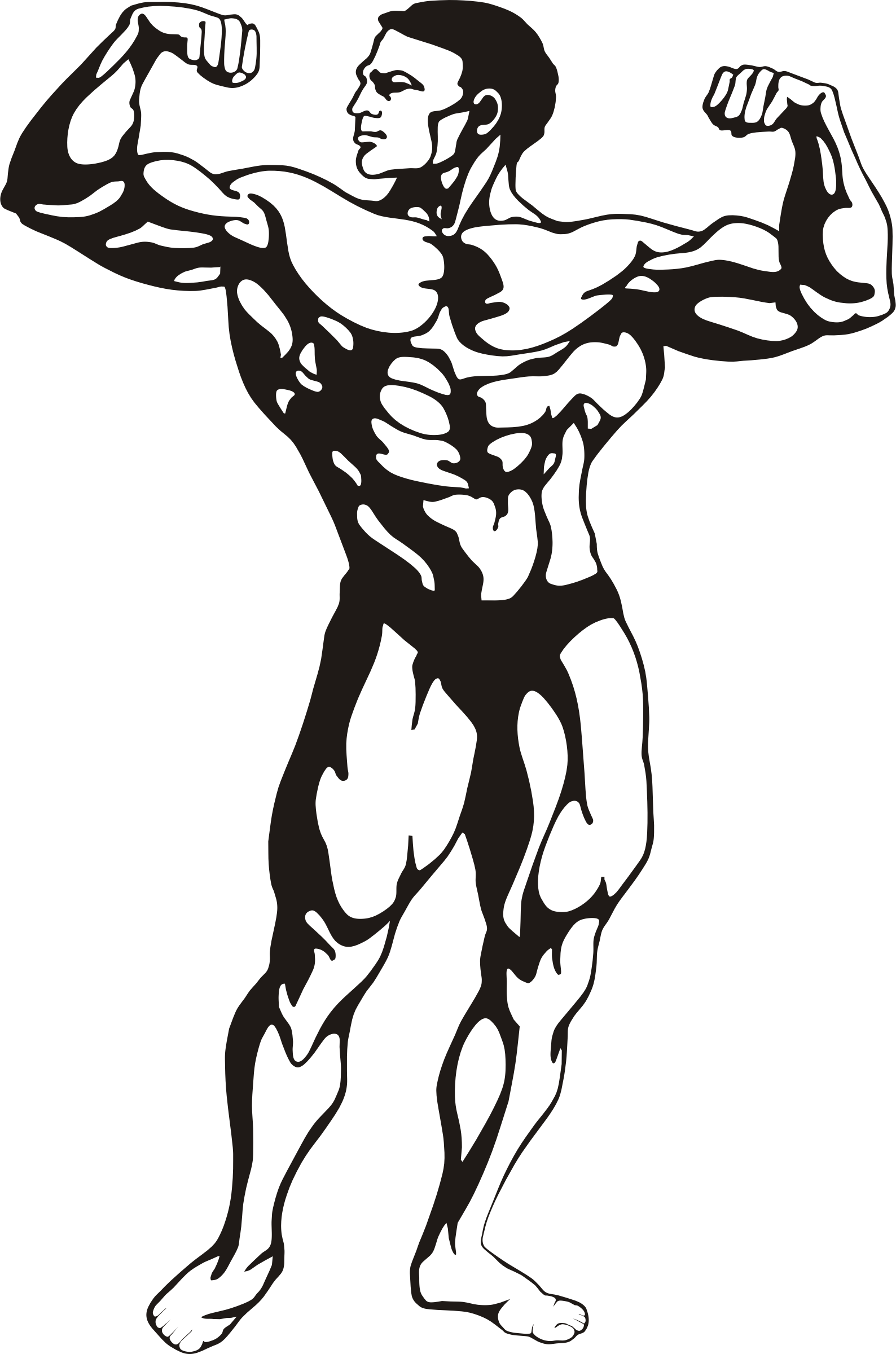 Body Builder Clip Art At Clker - Bodybuilder Clipart (396x599), Png Download
