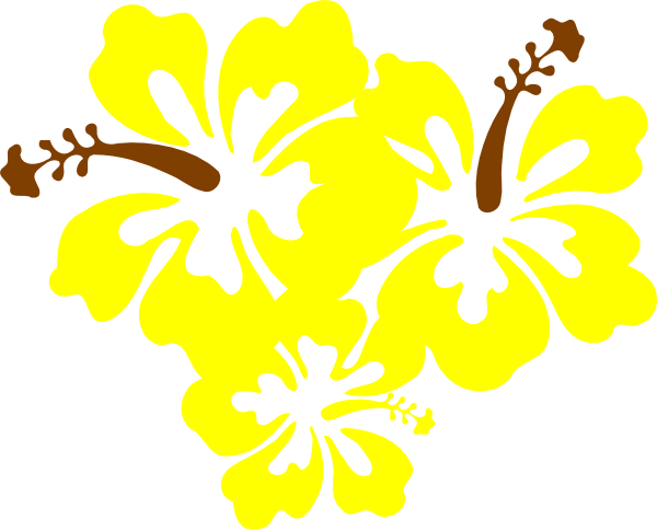 How To Set Use Hibiscus Yellow Flower Icon Png (600x484), Png Download