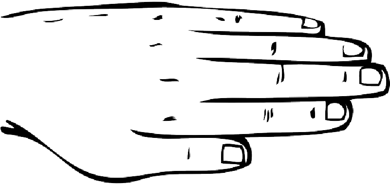 Mb Image/png - Body Parts Clipart Black And White (800x400), Png Download