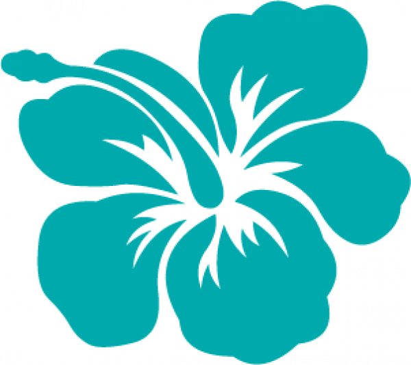 Flower - Fleurs Hawai (600x534), Png Download