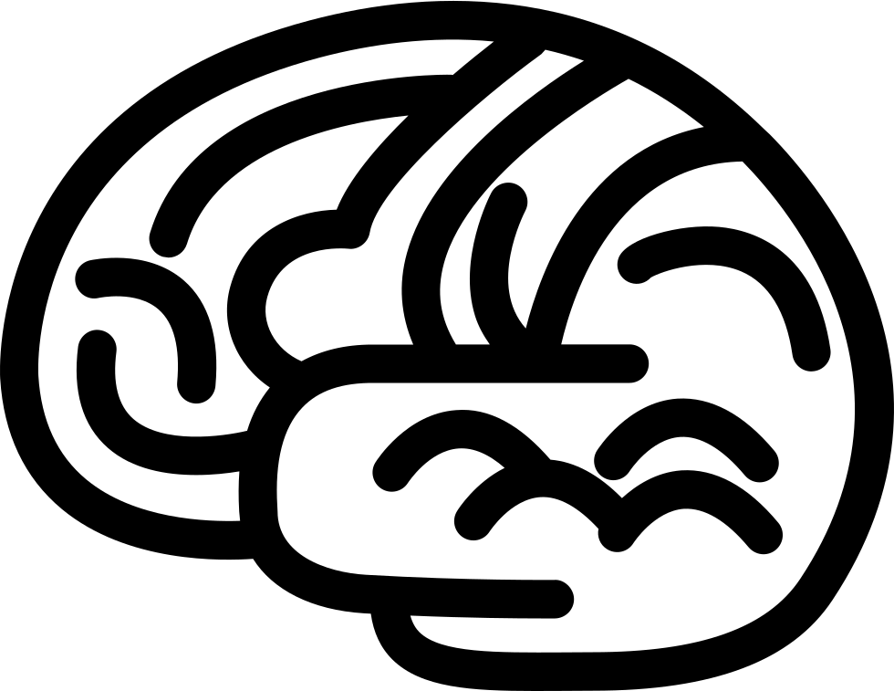 Brain Body Organ Outline - Brain (980x757), Png Download