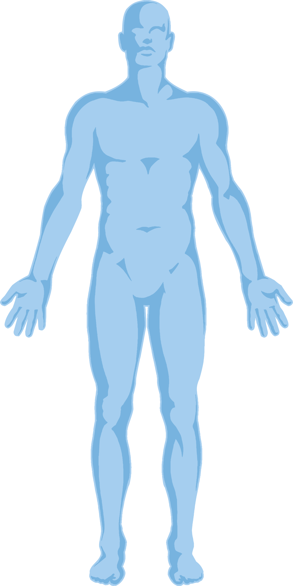 Banner Royalty Free Library Transparency Pricing Program - Body Transparency (1193x2383), Png Download