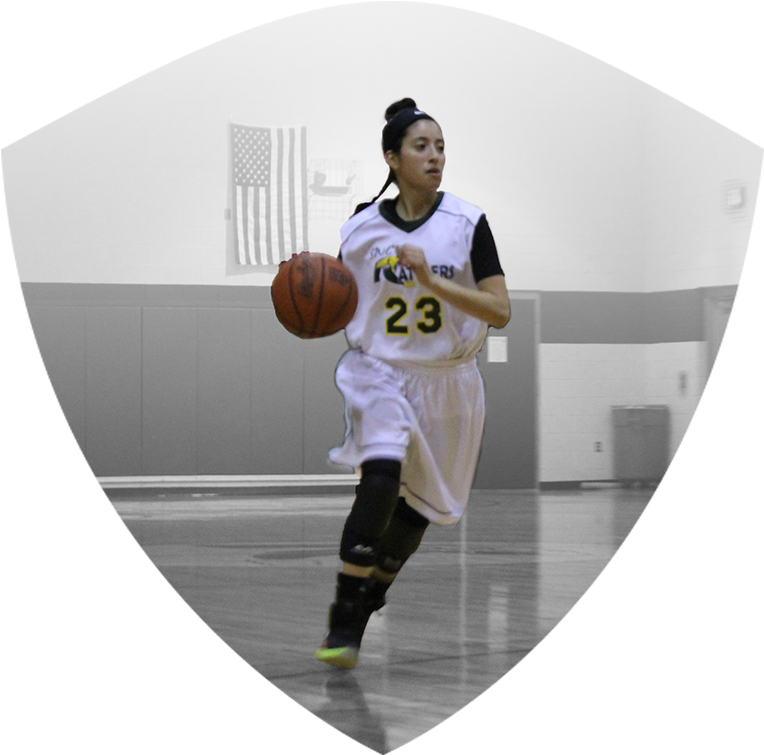 Women's Basketball - Basketball (800x800), Png Download