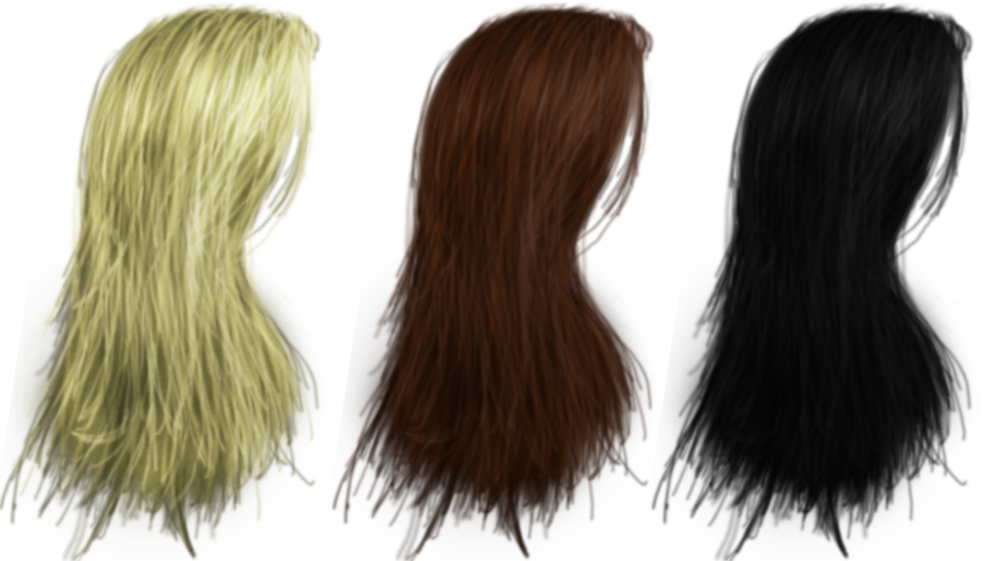 Hair Png's 04 By Thy Darkest Hour On Deviantart - Long Hair Side Png (900x514), Png Download