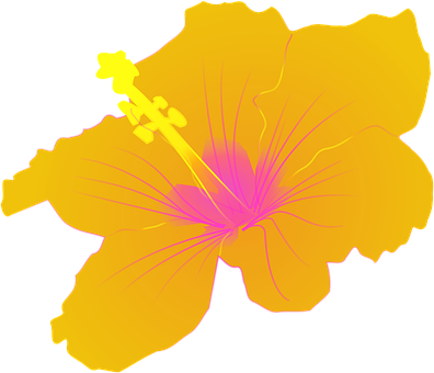 Hibiscus Flower Tropical Floral Petal Flor - Hibiscus Clip Art (396x340), Png Download