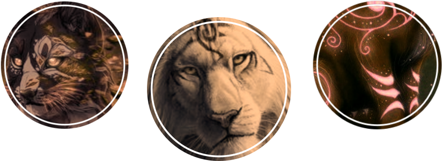Heathens Tribal Scars - Masai Lion (912x340), Png Download